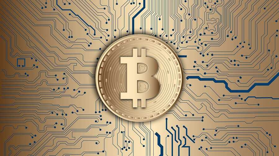 Cardano Coin Overview Featured Image